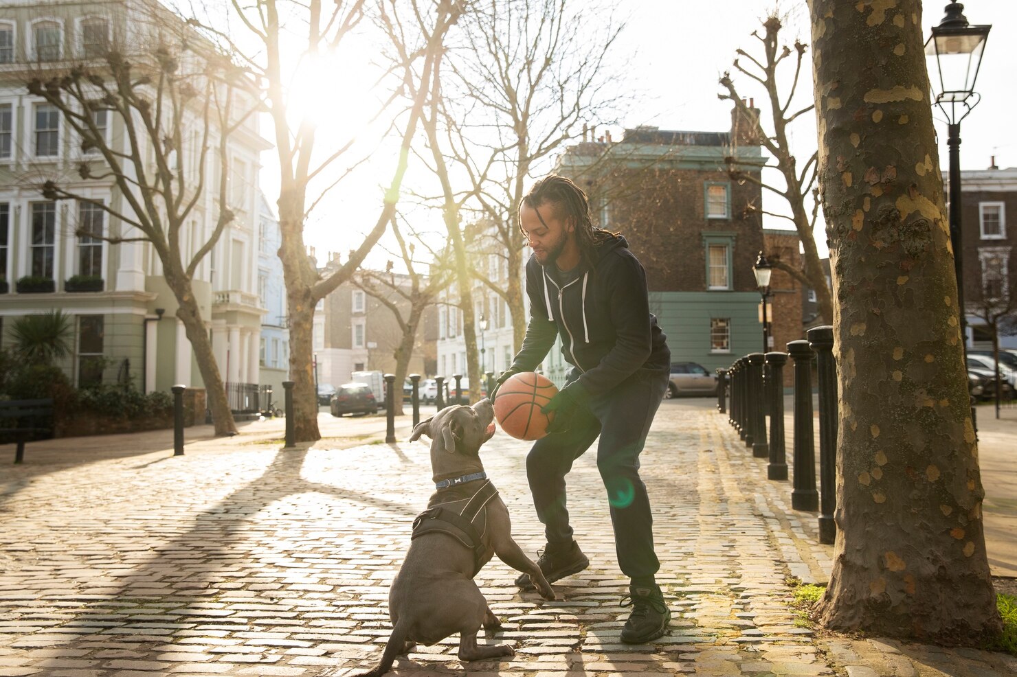 A man plays with his dog and a basketball on a sunlit city street.