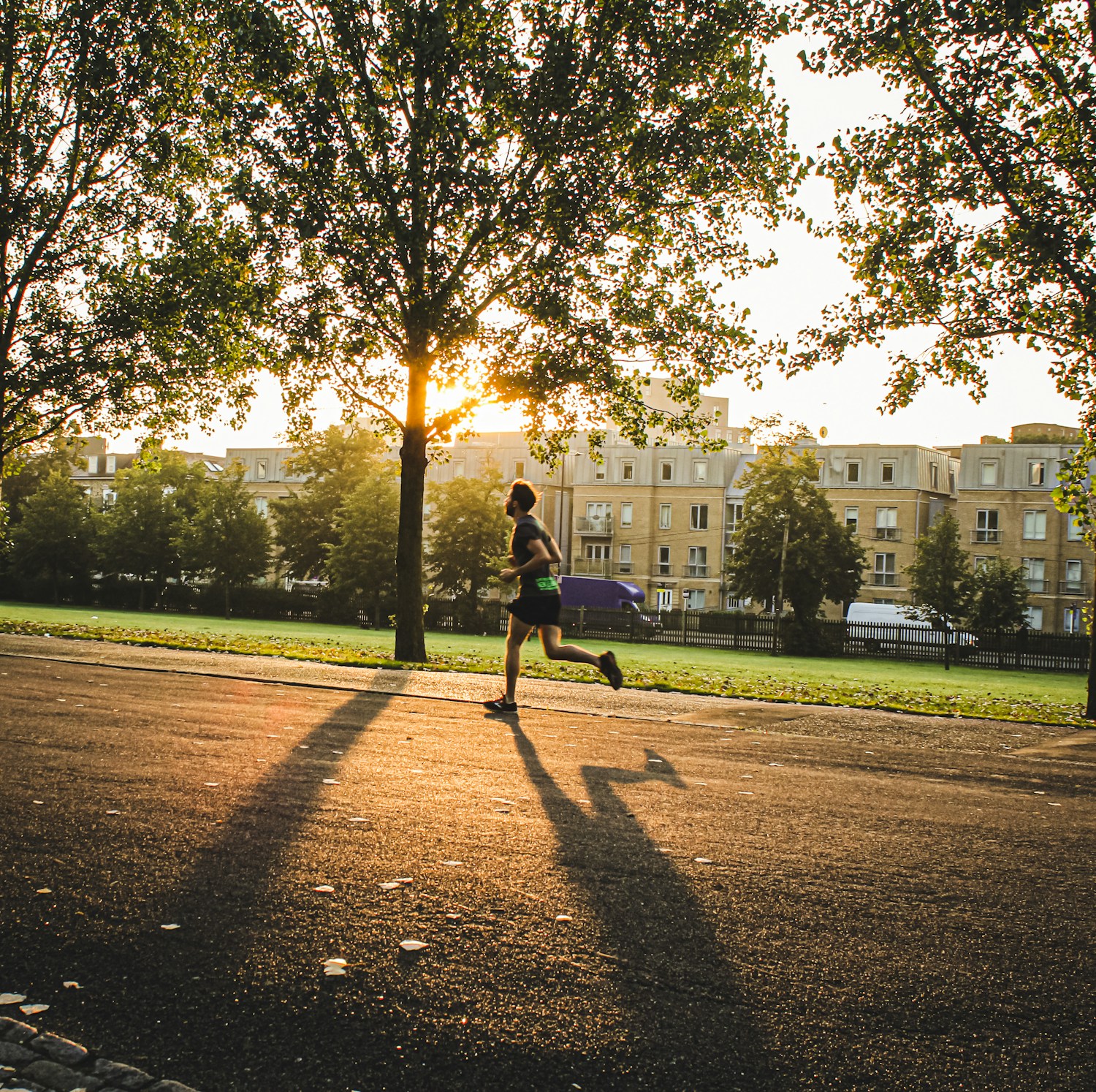 A runner moves through a city park in low morning sunlight, casting a long shadow across the path.