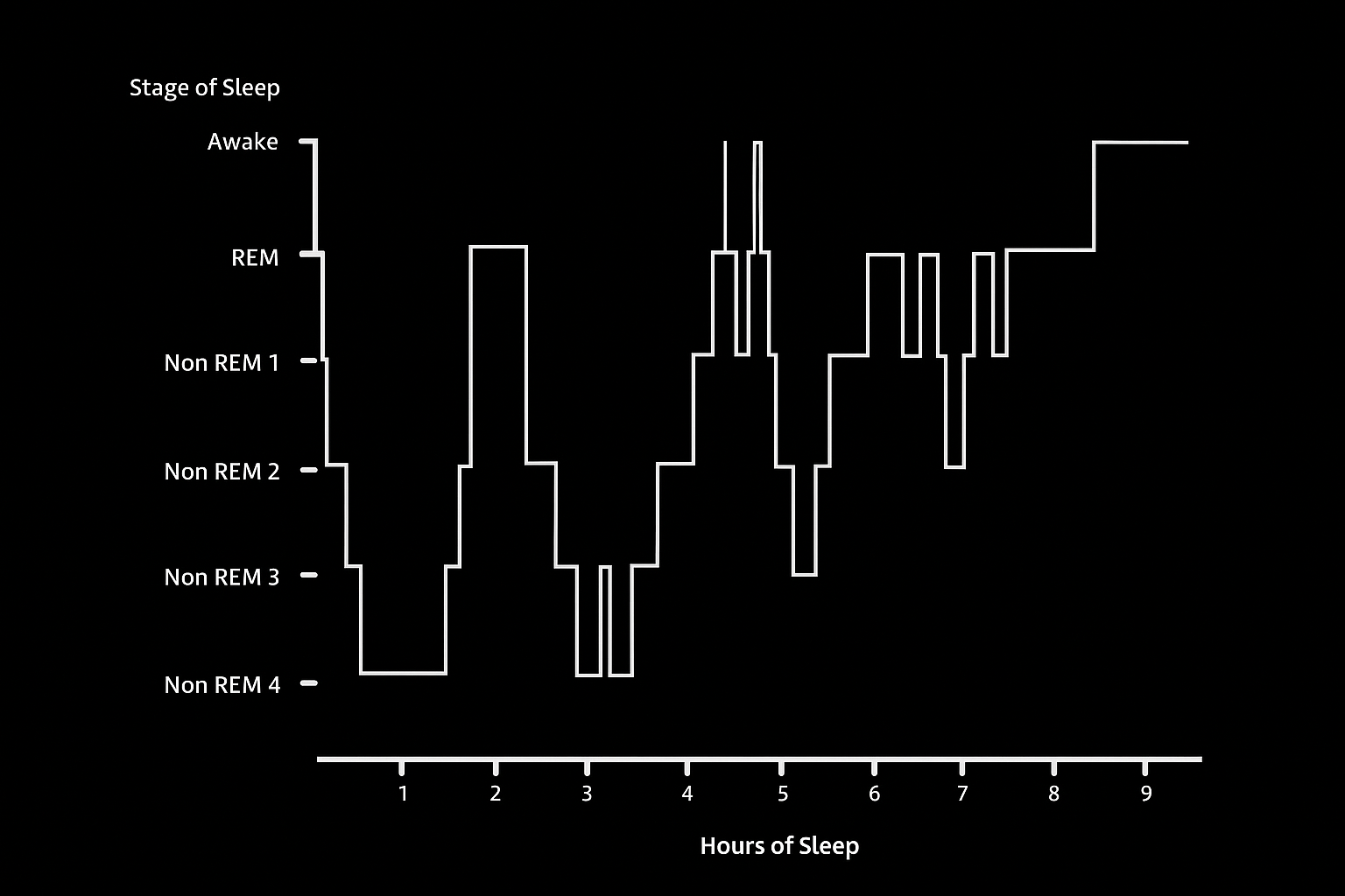 A diagram illustrating the stages of sleep cycles, with labeled sections for REM and non-REM sleep. The chart uses colored bars to show the progression through different sleep stages over time. The background is clean and minimal, emphasizing the educational and informative nature of the graphic.